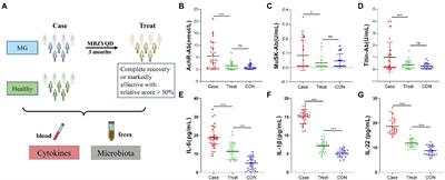 Traditional Chinese medicine improves myasthenia gravis by regulating the symbiotic homeostasis of the intestinal microbiota and host